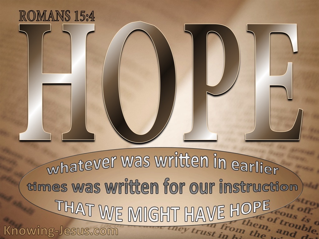 Romans 15:4 Scripture Was Written For Our Learning (brown)